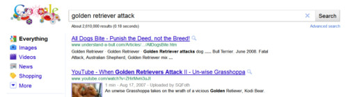 pitbull golden retriever mix puppies. Golden Retriever attack: