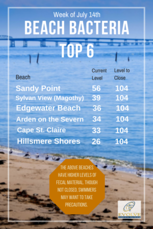 Chesapeake swimming guide from Evolve Direct Primary Care, the Highest Rated Primary Care and Urgent Care serving Edgewater, Davidsonville, Annapolis, Crownsville, Millersville, Gambrills, Crofton, Bowie, Arnold, Severna Park, Glen Burnie, Pasadena, Kent Island and Chester. 