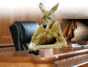 An <strike>Annapolis ABC Board Member</strike> Kangaroo holds court