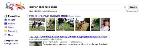 German Shepherd Attacks