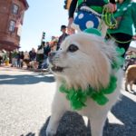 St. Paddy’s Day festivities in Annapolis