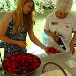 23rd Annual Strawberry Fest On Tap