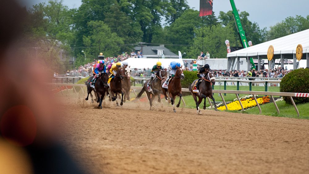 Get To Know The 2024 Belmont Stakes Probable Contenders Eye On Annapolis