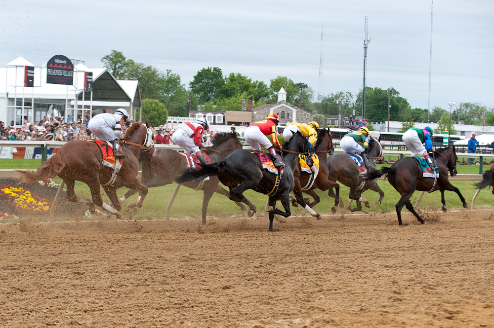 How Have The Runners From The Preakness Stakes Performed Since The Race At Pimlico?