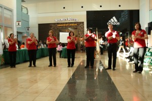 Hands of Harmony performs at the 2013 Disability Awareness Day