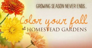 color-your-fall-banner