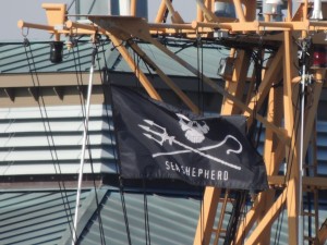 Sea Shepherd Flag