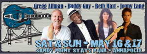 bay blues 2015 lineup