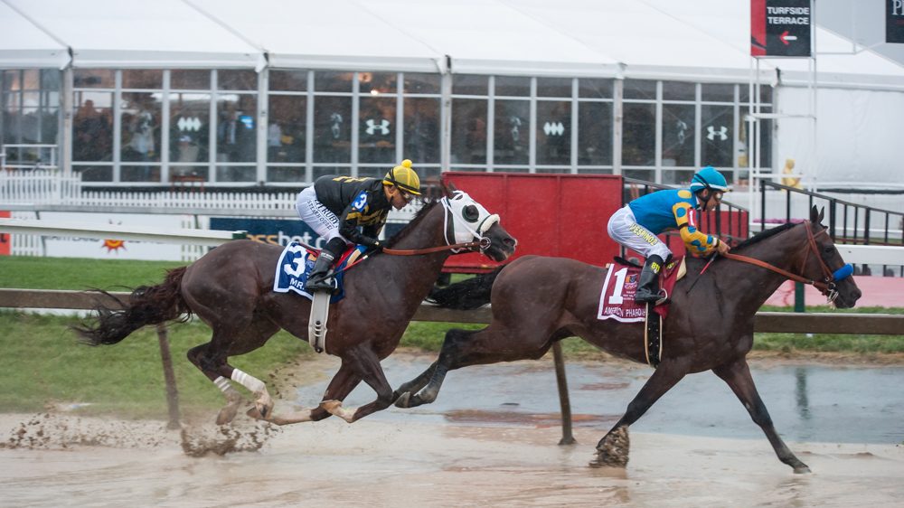 Maryland’s Racing Legacy: Why The Preakness Stakes Still Defines Our State’s Sporting Identity 