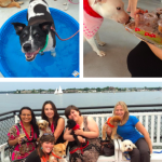 3rd Annual Dog Days of Summer Cruise