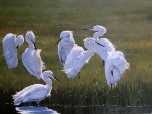 Paula Waterman, Morning Preening(egrets), oil at McBride Gallery