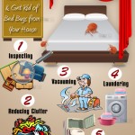Take Control of Bedbugs