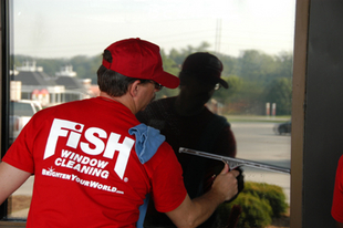 fish window cleaning