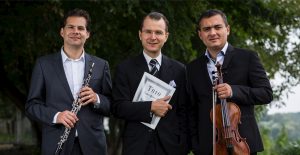 Kauder Trio instruments