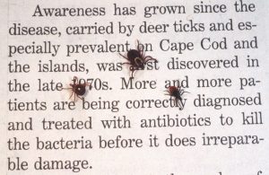 Maryland's tick problem: prevent Lyme disease from Evolve Medical provides primary care and urgent care to Annapolis, Edgewater, Severna Park, Arnold, Davidsonville, Gambrills, Crofton, Waugh Chapel, Stevensville, Pasadena and Glen Burnie.