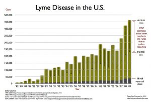Maryland's tick problem: prevent Lyme disease from Evolve Medical provides primary care and urgent care to Annapolis, Edgewater, Severna Park, Arnold, Davidsonville, Gambrills, Crofton, Waugh Chapel, Stevensville, Pasadena and Glen Burnie.
