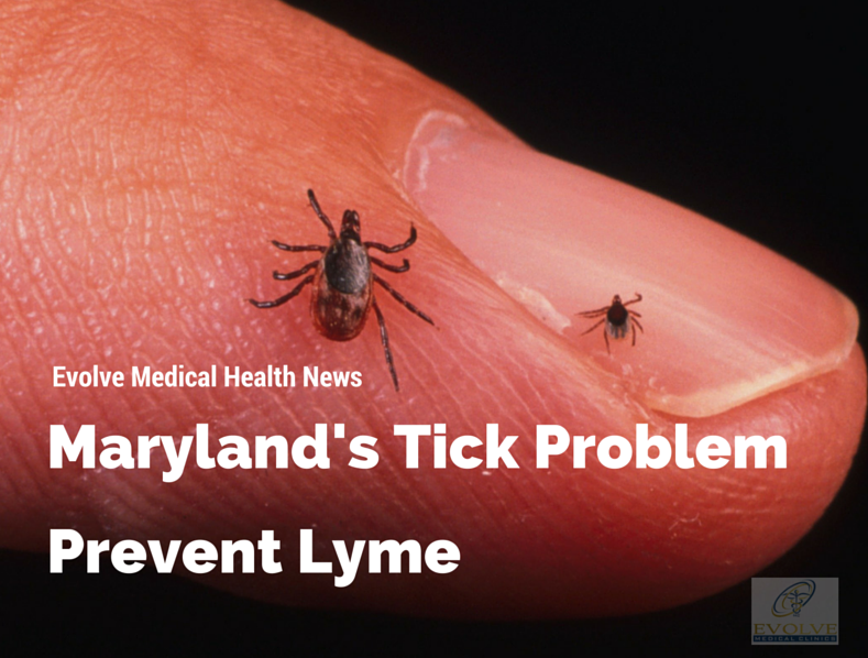 Maryland's tick problem: prevent Lyme disease from Evolve Medical provides primary care and urgent care to Annapolis, Edgewater, Severna Park, Arnold, Davidsonville, Gambrills, Crofton, Waugh Chapel, Stevensville, Pasadena and Glen Burnie.