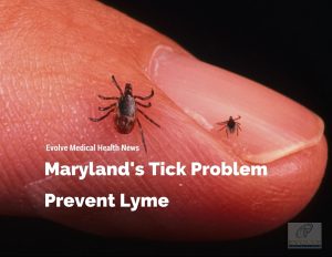 Maryland's tick problem: prevent Lyme disease from Evolve Medical provides primary care and urgent care to Annapolis, Edgewater, Severna Park, Arnold, Davidsonville, Gambrills, Crofton, Waugh Chapel, Stevensville, Pasadena and Glen Burnie.