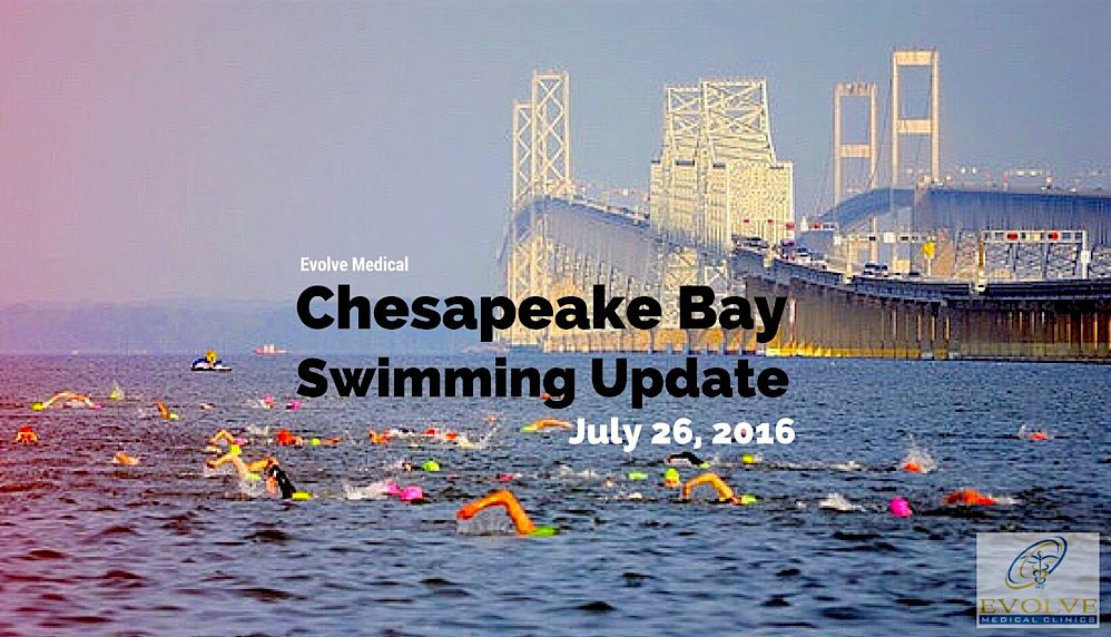 Chesapeake Bay Swimming Update
