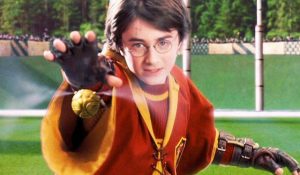 Harry Potter Plays Quidditch