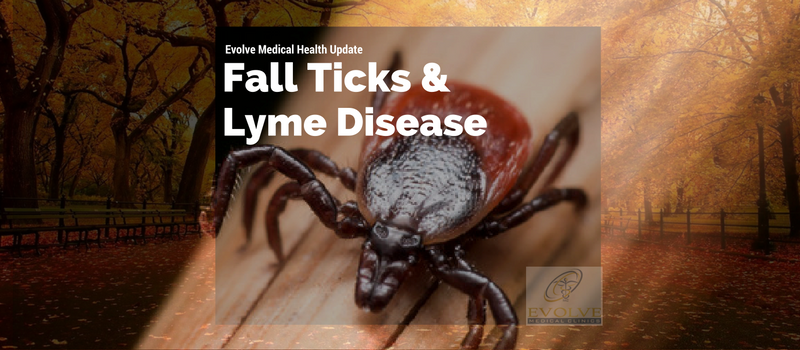 Fall Ticks and Lyme disease evolve medical clinics Annapolis Arnold Severna Park Edgewater Davidsonville Gambrills Crofton Bowie Glen Burnie Pasadena