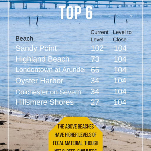 Chesapeake Bay Safe Swimming Guide to beaches in Anne Arundel County Evolve Medical Clinics