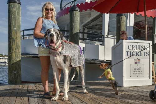 Watermark Yacht Dog Days Cruise