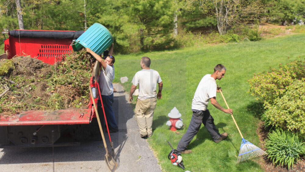 How Digital Platforms Transform Marketing for Landscaping Companies