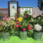 Flower Mart in Downtown Annapolis