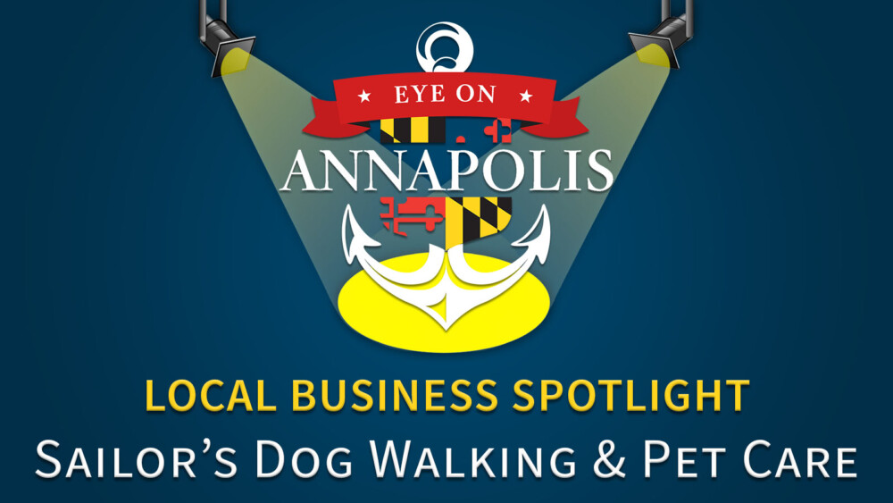Local Business Spotlight: Sailor’s Dog Walking & Pet Care