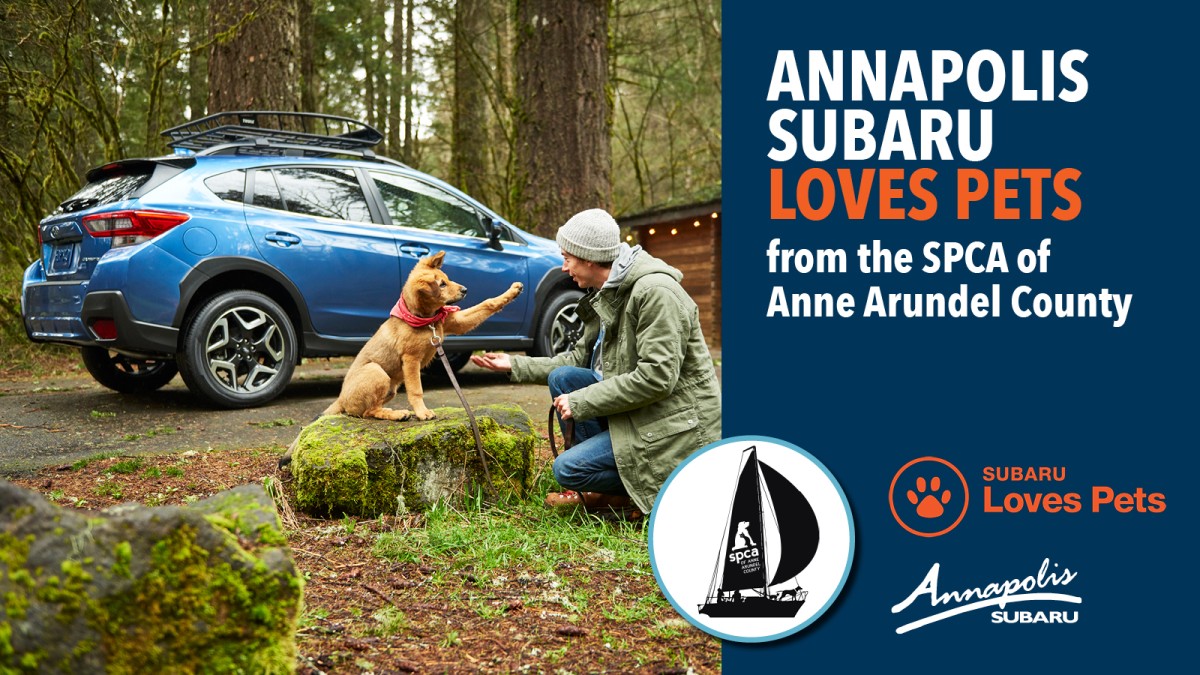 AnnapolisSubaru-LovesPets_1600x900