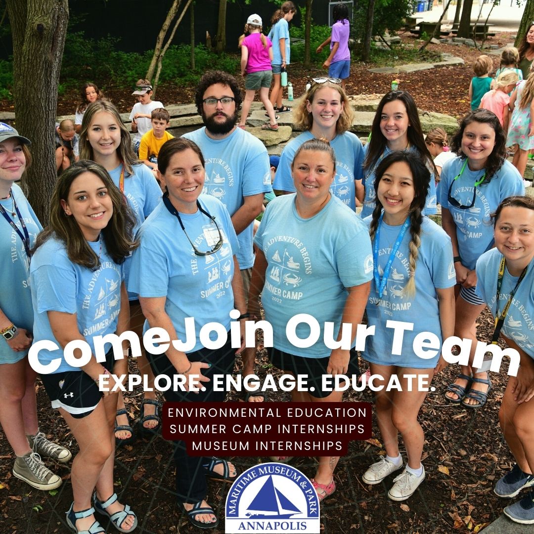 AMM – ComeJoin Our Team