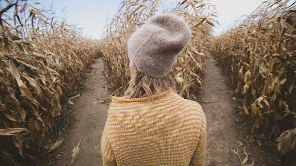 Open Maze MD Corn Maze Offers Family Fun, Farm Activities Through November 8 ...